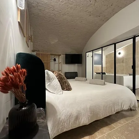 Brume, Sauna Et Balneo Centre Historique Appartement
